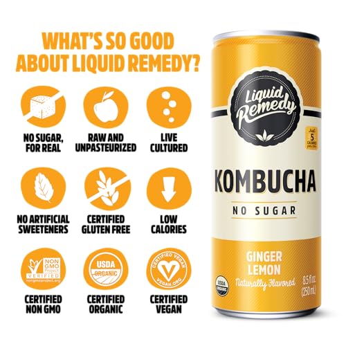 Ginger Lemon Kombucha, 24 Cans
