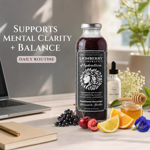Elderberry and Lion’s Mane Hydration Drink, 12-Pack