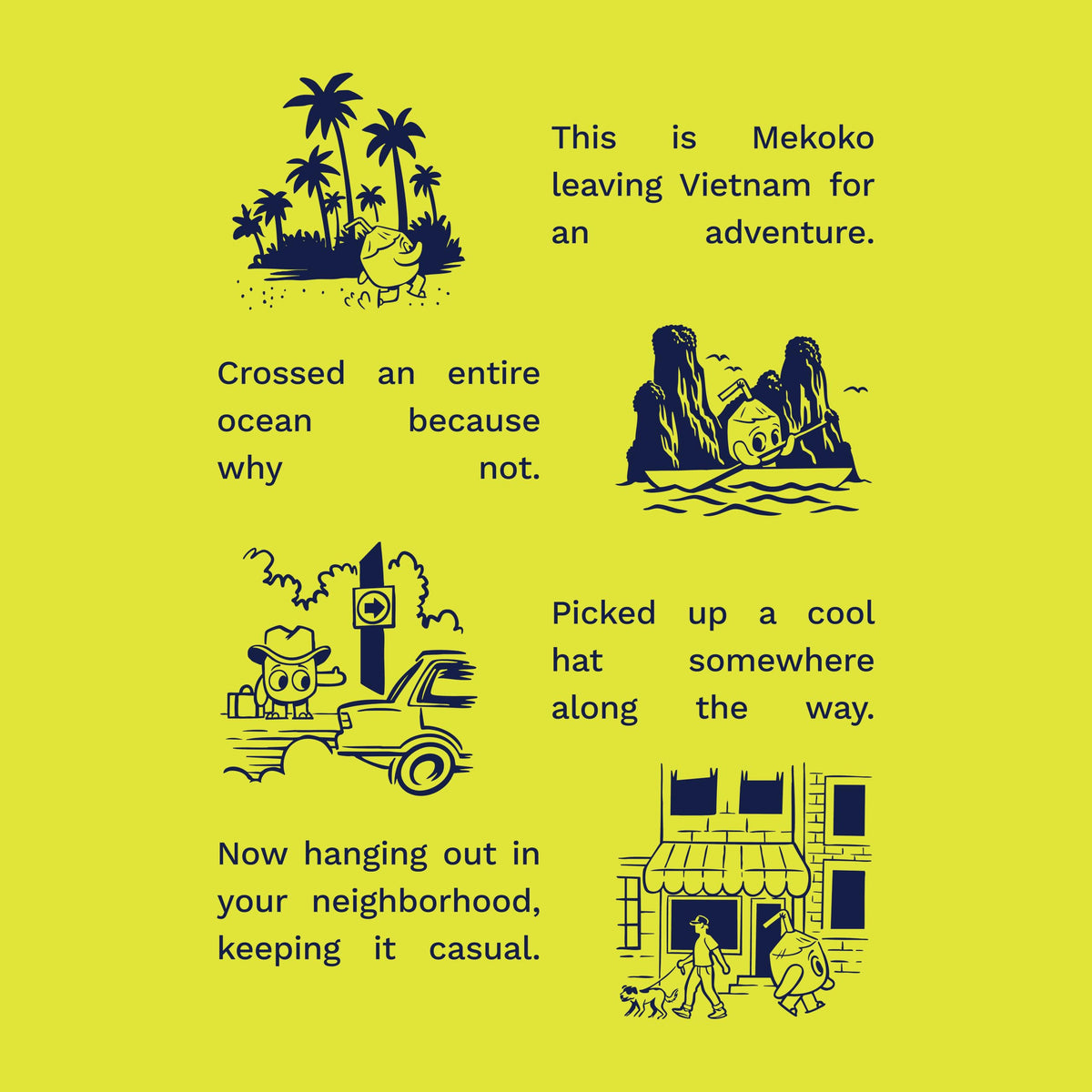 Flavored Coconut Water Variety
