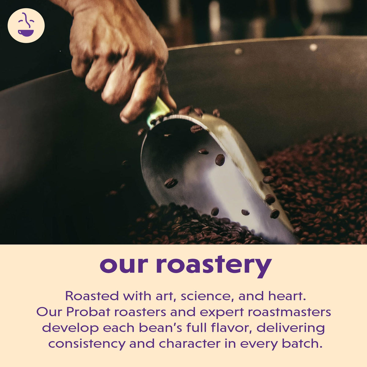 Central and South American Whole Coffee Beans