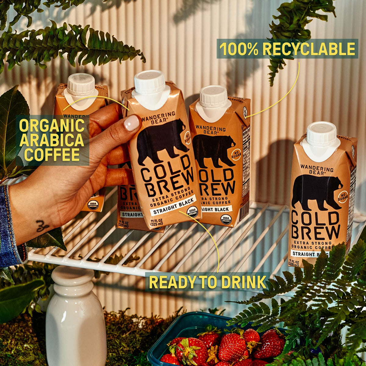 Ready-to-Drink Cold Brew Coffee Variety